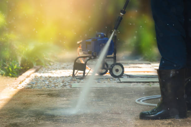 Best Dumpster Area Cleaning  in Elverta, CA